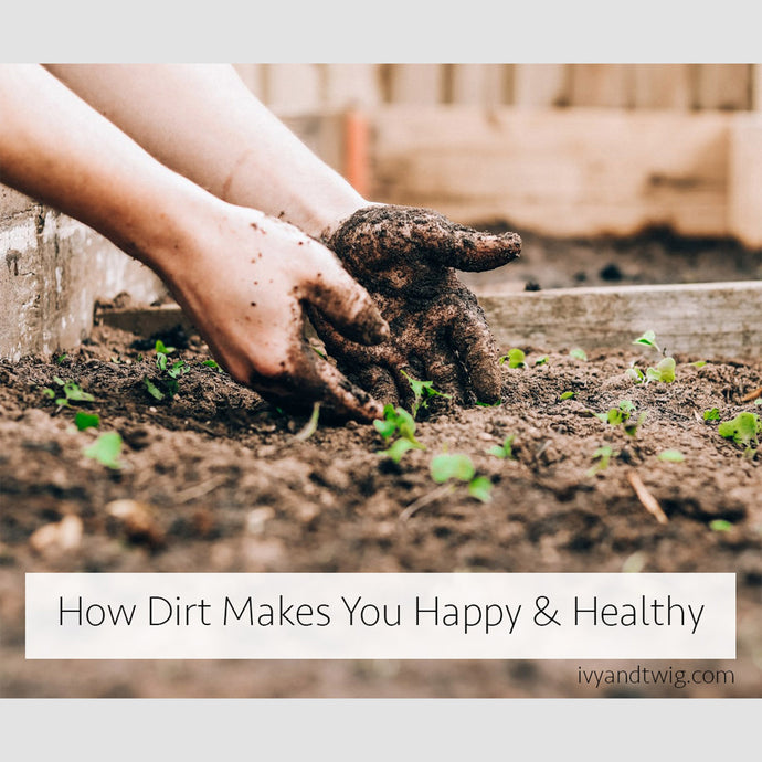 How Dirt Makes You Happy and Healthy