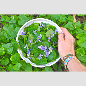 Benefits of Violet Leaves for Health